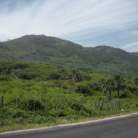 Panel-11-Foto-81-San Juan de la Maguana Mountains.JPG